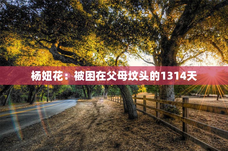 杨妞花：被困在父母坟头的1314天