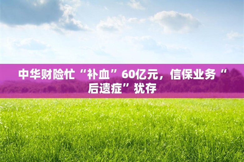 中华财险忙“补血”60亿元，信保业务“后遗症”犹存