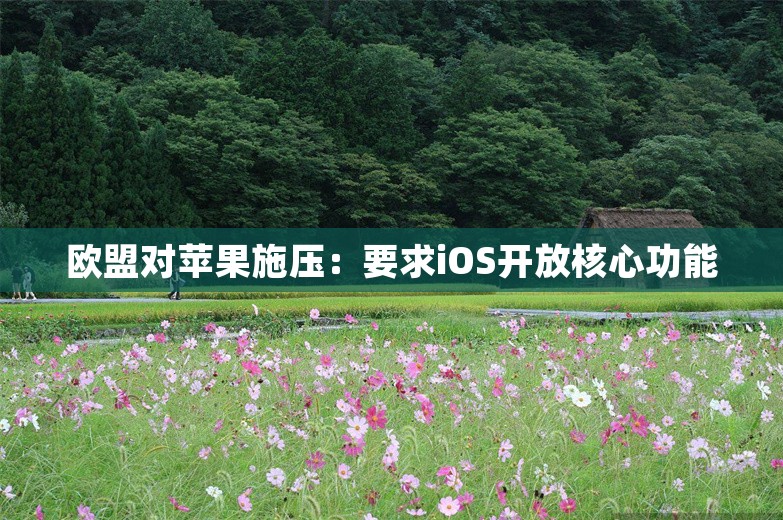 欧盟对苹果施压：要求iOS开放核心功能