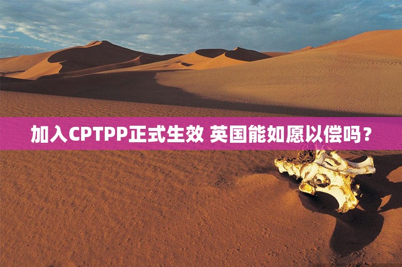 加入CPTPP正式生效 英国能如愿以偿吗？