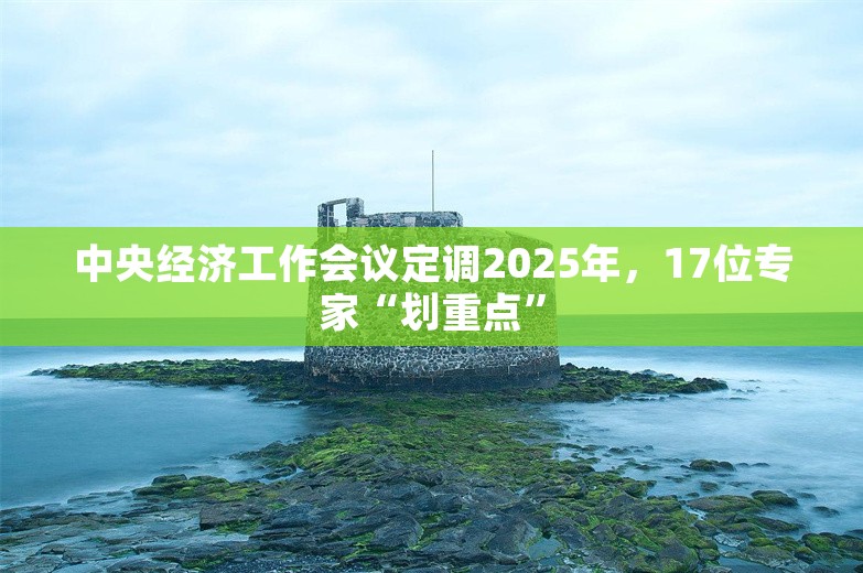 中央经济工作会议定调2025年，17位专家“划重点”