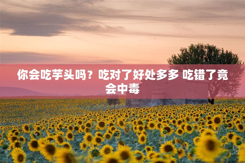 你会吃芋头吗？吃对了好处多多 吃错了竟会中毒