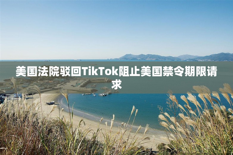 美国法院驳回TikTok阻止美国禁令期限请求