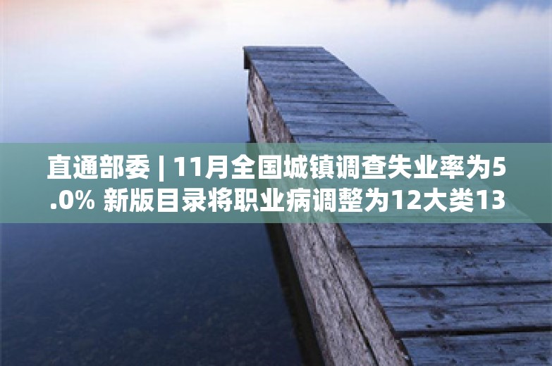 直通部委 | 11月全国城镇调查失业率为5.0% 新版目录将职业病调整为12大类135种