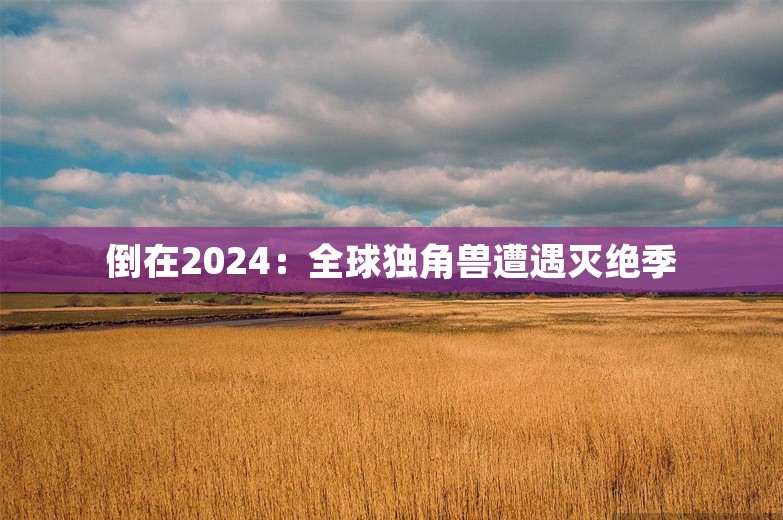 倒在2024：全球独角兽遭遇灭绝季