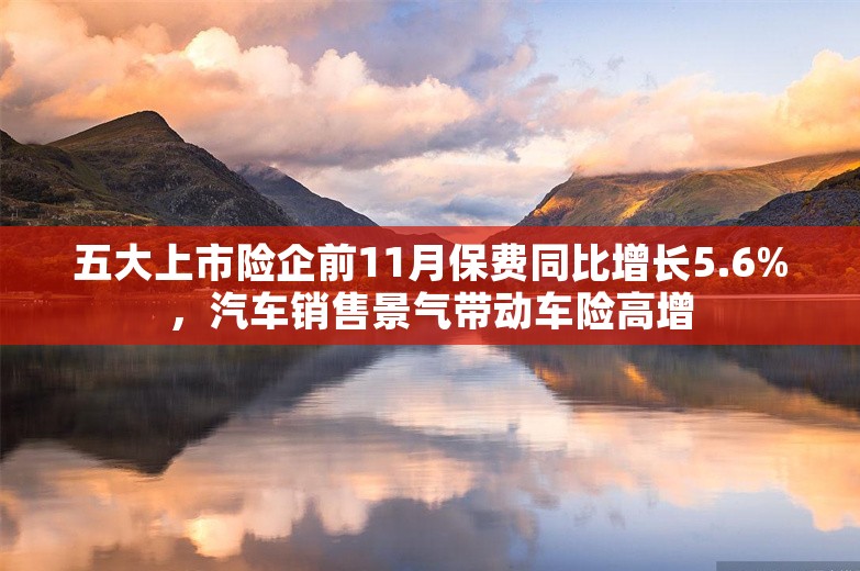 五大上市险企前11月保费同比增长5.6%，汽车销售景气带动车险高增