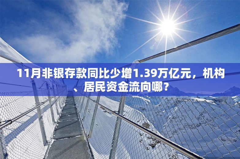 11月非银存款同比少增1.39万亿元，机构、居民资金流向哪？