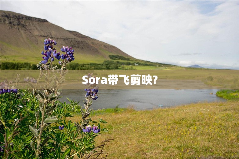 Sora带飞剪映?