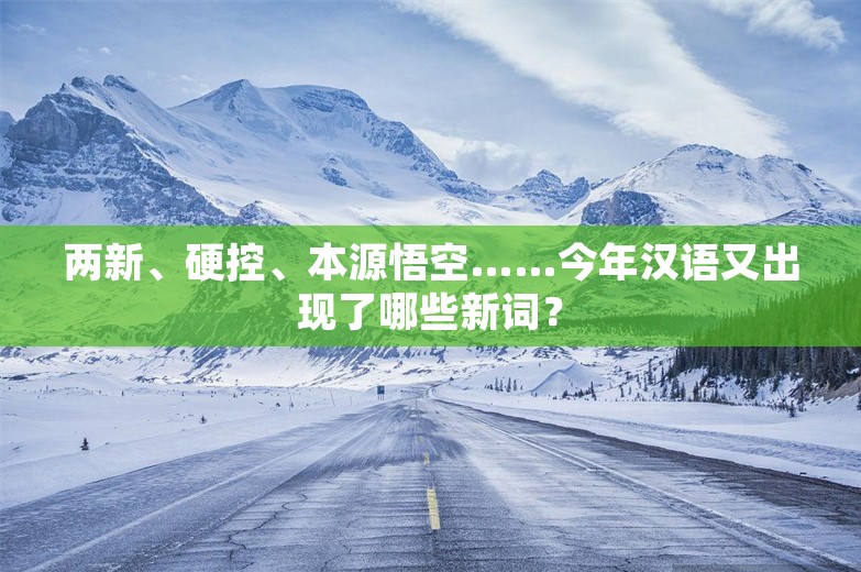 两新、硬控、本源悟空……今年汉语又出现了哪些新词？