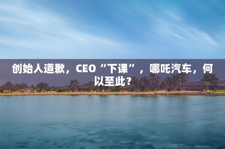 创始人道歉，CEO“下课”，哪吒汽车，何以至此？