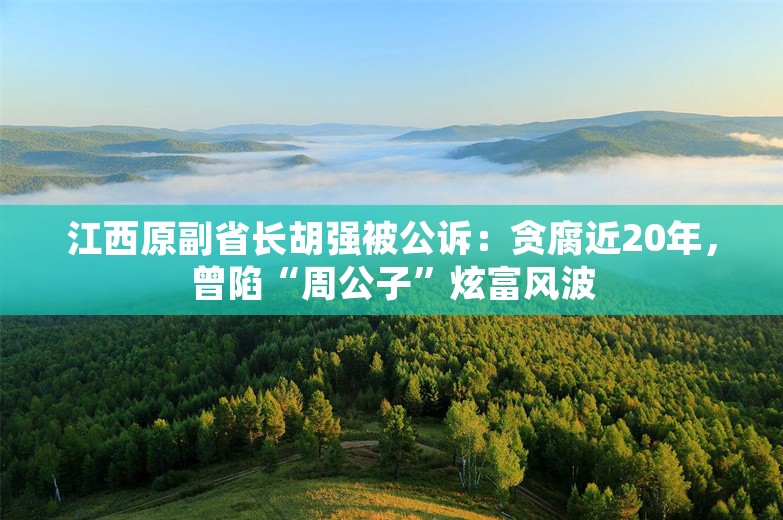 江西原副省长胡强被公诉：贪腐近20年，曾陷“周公子”炫富风波