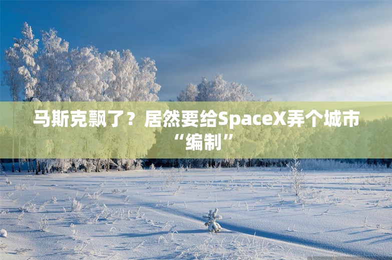 马斯克飘了？居然要给SpaceX弄个城市“编制”