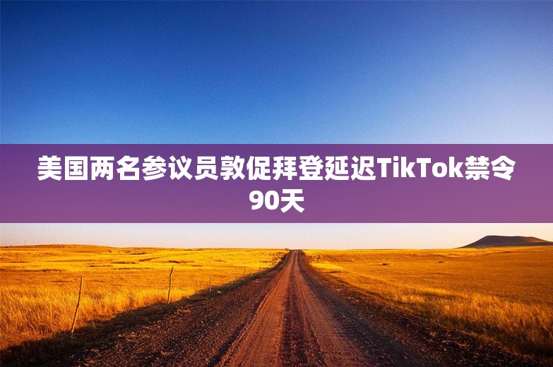 美国两名参议员敦促拜登延迟TikTok禁令90天