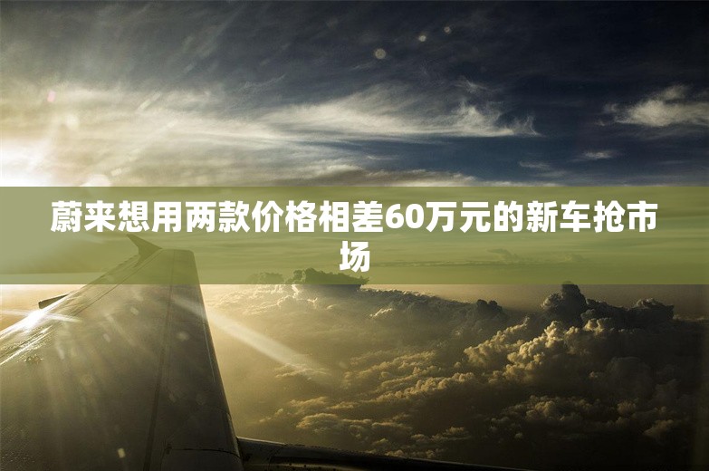 蔚来想用两款价格相差60万元的新车抢市场