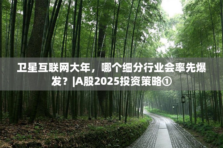 卫星互联网大年，哪个细分行业会率先爆发？|A股2025投资策略①