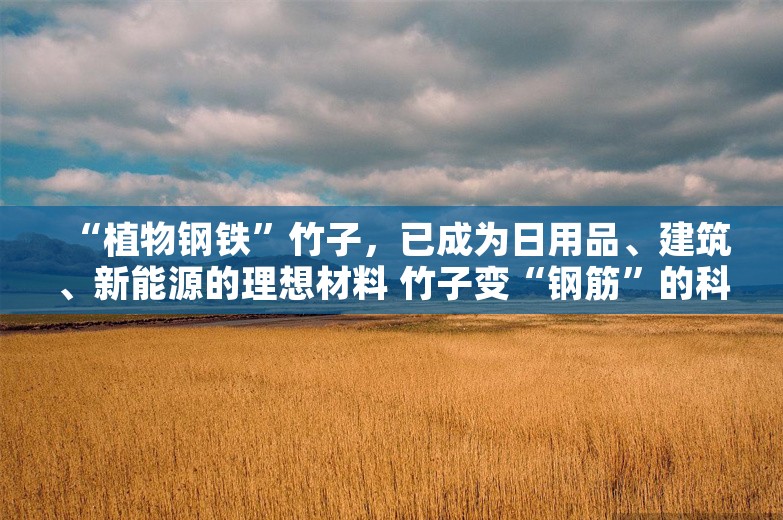 “植物钢铁”竹子，已成为日用品、建筑、新能源的理想材料 竹子变“钢筋”的科技密码