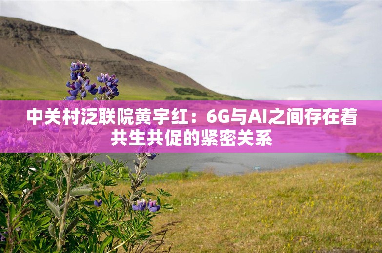 中关村泛联院黄宇红：6G与AI之间存在着共生共促的紧密关系