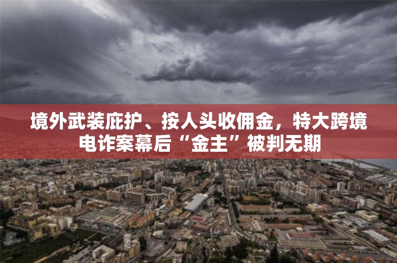 境外武装庇护、按人头收佣金，特大跨境电诈案幕后“金主”被判无期