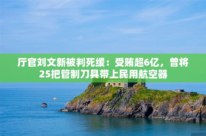 厅官刘文新被判死缓：受贿超6亿，曾将25把管制刀具带上民用航空器