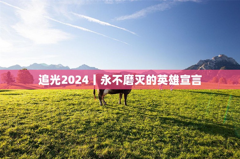 追光2024丨永不磨灭的英雄宣言