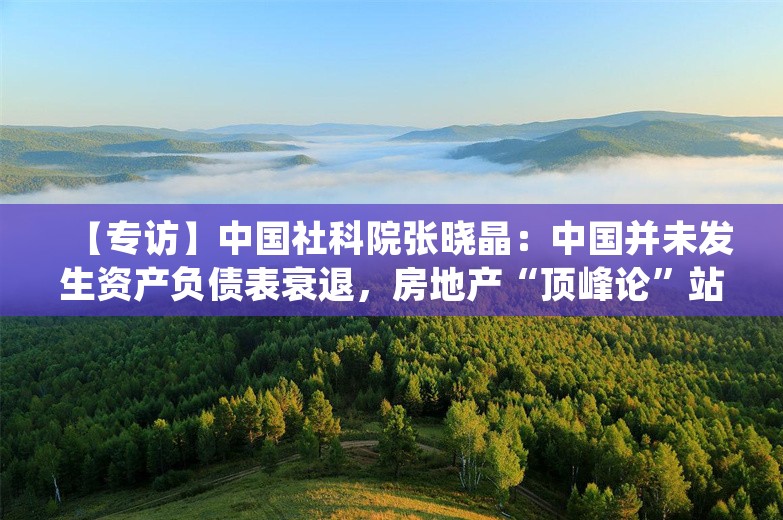 【专访】中国社科院张晓晶：中国并未发生资产负债表衰退，房地产“顶峰论”站不住脚