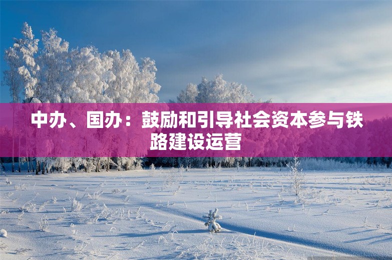 中办、国办：鼓励和引导社会资本参与铁路建设运营