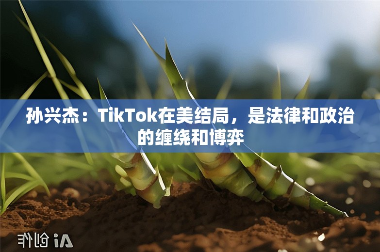 孙兴杰：TikTok在美结局，是法律和政治的缠绕和博弈