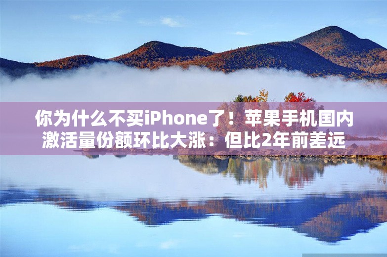 你为什么不买iPhone了！苹果手机国内激活量份额环比大涨：但比2年前差远