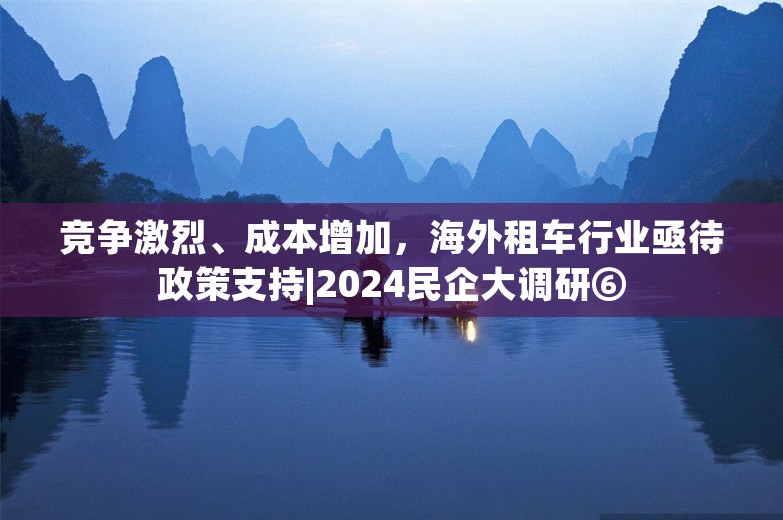 竞争激烈、成本增加，海外租车行业亟待政策支持|2024民企大调研⑥