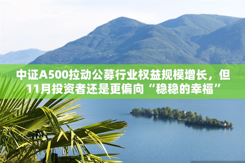 中证A500拉动公募行业权益规模增长，但11月投资者还是更偏向“稳稳的幸福”