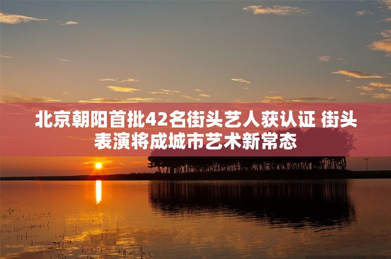 北京朝阳首批42名街头艺人获认证 街头表演将成城市艺术新常态