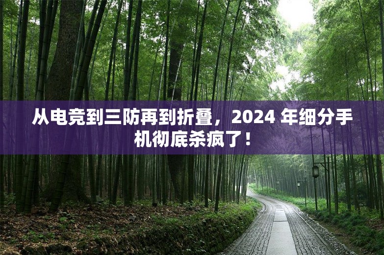 从电竞到三防再到折叠，2024 年细分手机彻底杀疯了！