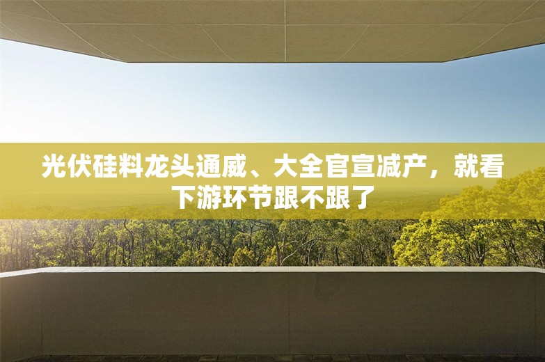 光伏硅料龙头通威、大全官宣减产，就看下游环节跟不跟了