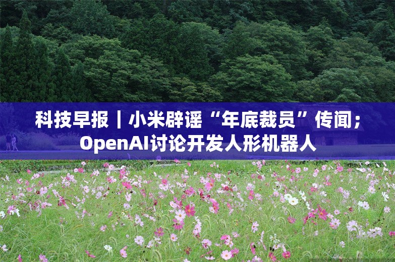 科技早报｜小米辟谣“年底裁员”传闻；OpenAI讨论开发人形机器人