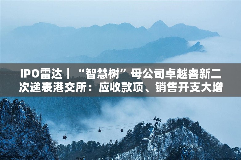 IPO雷达｜“智慧树”母公司卓越睿新二次递表港交所：应收款项、销售开支大增，上半年亏损加剧