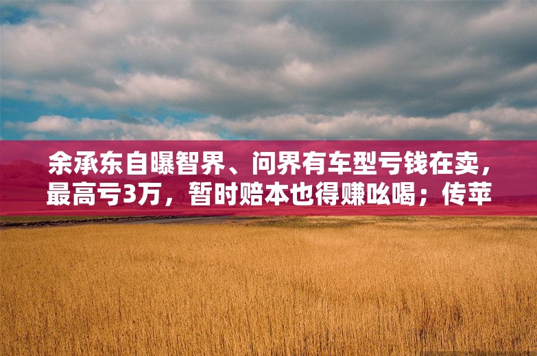 余承东自曝智界、问界有车型亏钱在卖，最高亏3万，暂时赔本也得赚吆喝；传苹果与腾讯、字节、智谱接洽大模型合作；极越员工获N 1赔偿丨雷峰早报