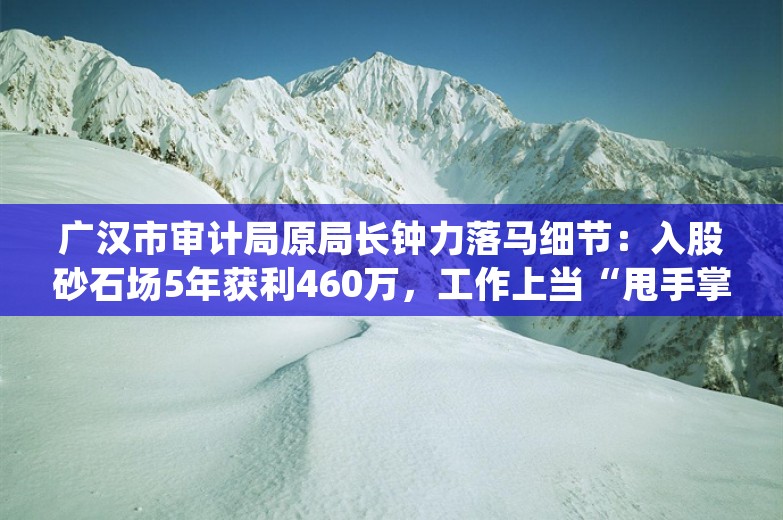 广汉市审计局原局长钟力落马细节：入股砂石场5年获利460万，工作上当“甩手掌柜”