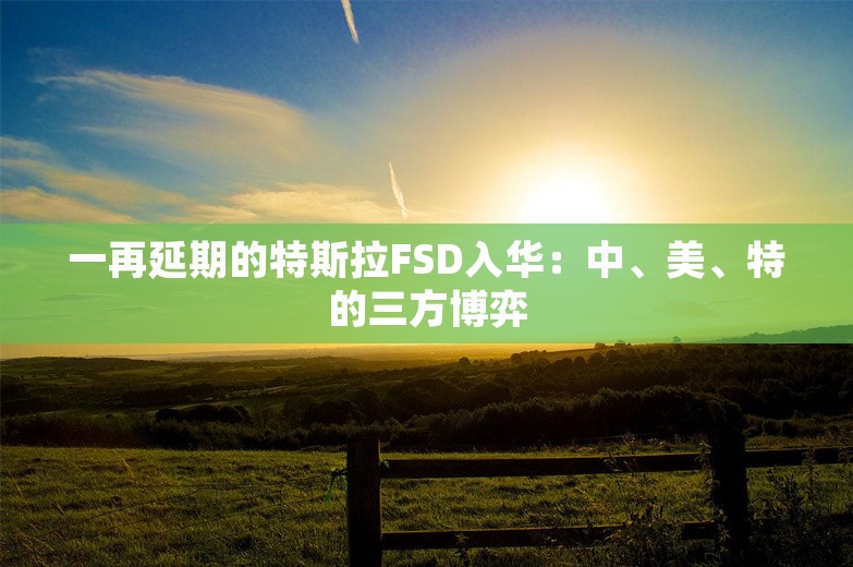 一再延期的特斯拉FSD入华：中、美、特的三方博弈