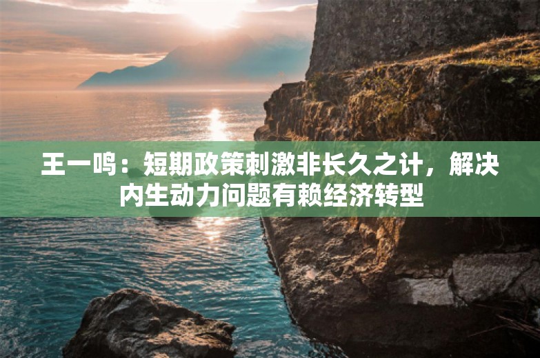 王一鸣：短期政策刺激非长久之计，解决内生动力问题有赖经济转型