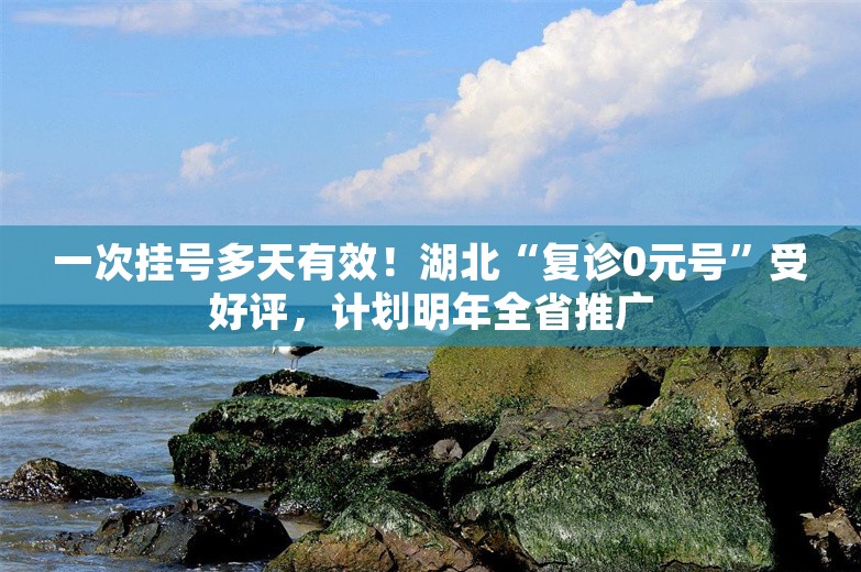 一次挂号多天有效！湖北“复诊0元号”受好评，计划明年全省推广