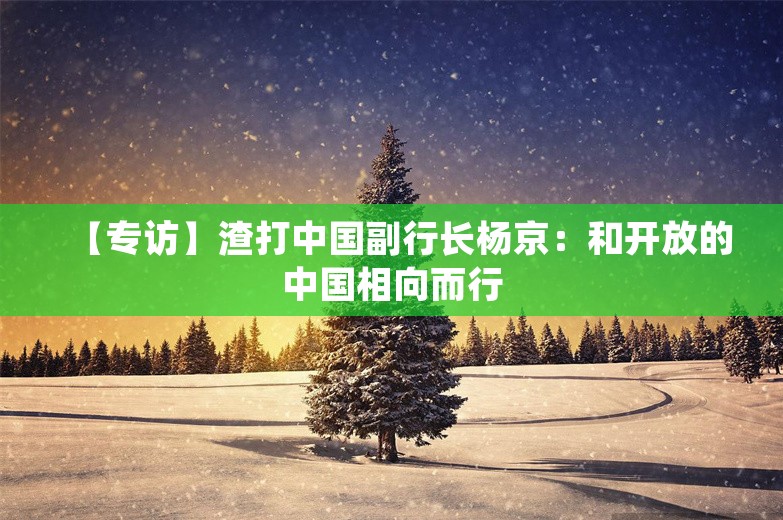 【专访】渣打中国副行长杨京：和开放的中国相向而行