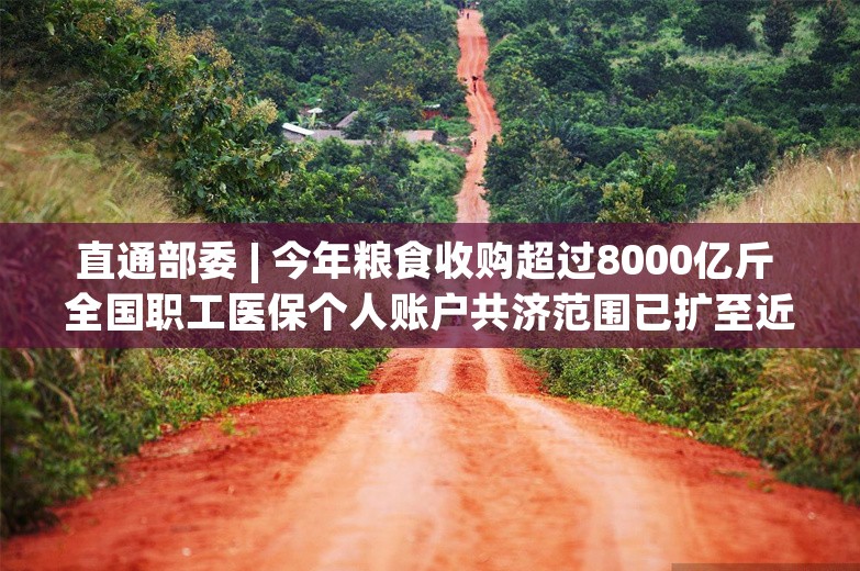 直通部委 | 今年粮食收购超过8000亿斤 全国职工医保个人账户共济范围已扩至近亲属