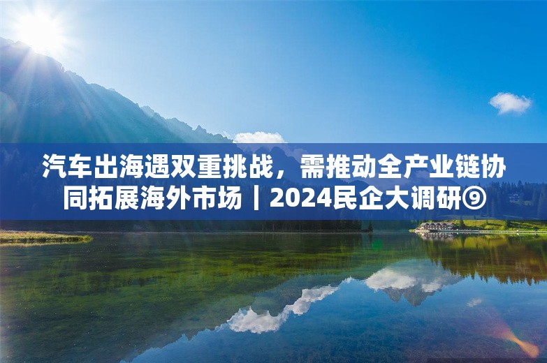 汽车出海遇双重挑战，需推动全产业链协同拓展海外市场｜2024民企大调研⑨