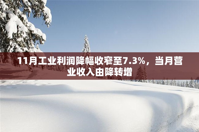 11月工业利润降幅收窄至7.3%，当月营业收入由降转增