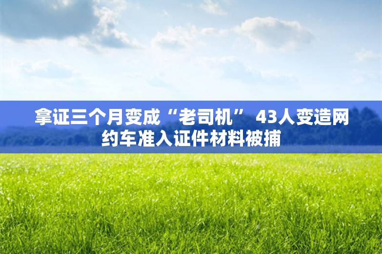 拿证三个月变成“老司机” 43人变造网约车准入证件材料被捕