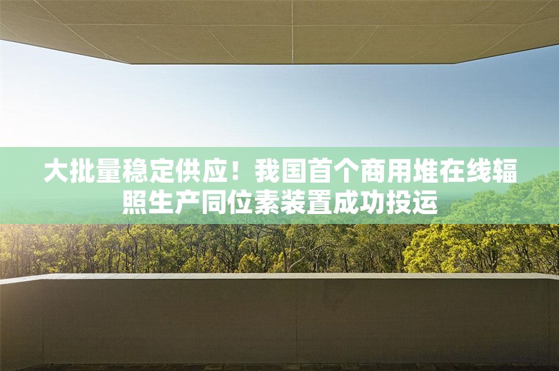 大批量稳定供应！我国首个商用堆在线辐照生产同位素装置成功投运