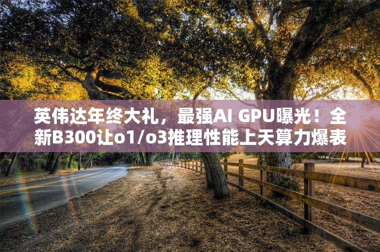 英伟达年终大礼，最强AI GPU曝光！全新B300让o1/o3推理性能上天算力爆表