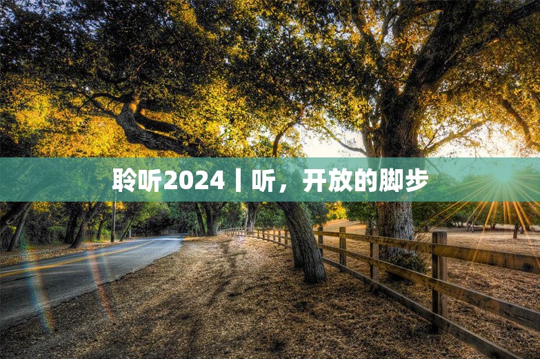 聆听2024丨听，开放的脚步