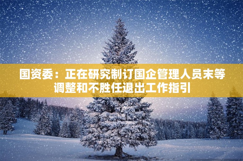 国资委：正在研究制订国企管理人员末等调整和不胜任退出工作指引