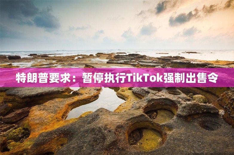 特朗普要求：暂停执行TikTok强制出售令